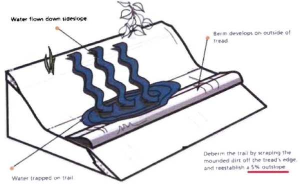 Trail constructed without proper cross slope..